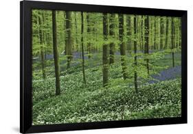 Woodland Escape-Wild Wonders of Europe-Framed Giclee Print