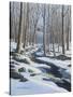 Woodland Farm Stream-Bruce Dumas-Stretched Canvas