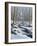 Woodland Farm Stream-Bruce Dumas-Framed Giclee Print