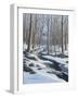 Woodland Farm Stream-Bruce Dumas-Framed Giclee Print