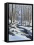 Woodland Farm Stream-Bruce Dumas-Framed Stretched Canvas