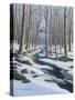 Woodland Farm Stream-Bruce Dumas-Stretched Canvas