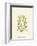 Woodland Ferns I-Edward Lowe-Framed Art Print