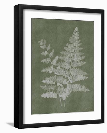 Woodland Ferns II-Annie LaPoint-Framed Art Print