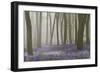 Woodland Filled with Bluebells on a Misty Spring Morning Near Micheldever in Hampshire-Rtimages-Framed Premium Photographic Print