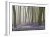 Woodland Filled with Bluebells on a Misty Spring Morning Near Micheldever in Hampshire-Rtimages-Framed Premium Photographic Print
