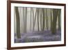 Woodland Filled with Bluebells on a Misty Spring Morning Near Micheldever in Hampshire-Rtimages-Framed Photographic Print