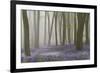 Woodland Filled with Bluebells on a Misty Spring Morning Near Micheldever in Hampshire-Rtimages-Framed Photographic Print