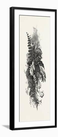 Woodland Flowers, Canada, Nineteenth Century-null-Framed Premium Giclee Print