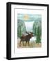 Woodland Forest IV-Veronique Charron-Framed Art Print