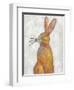 Woodland Friends II-Chariklia Zarris-Framed Art Print