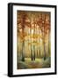 Woodland Glow I-Michael Marcon-Framed Art Print