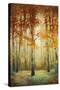 Woodland Glow II-Michael Marcon-Stretched Canvas