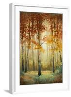 Woodland Glow II-Michael Marcon-Framed Art Print