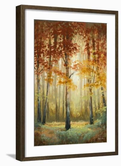 Woodland Glow II-Michael Marcon-Framed Art Print