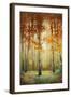 Woodland Glow II-Michael Marcon-Framed Art Print