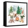 Woodland Gnomes II-Mary Urban-Framed Stretched Canvas