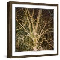 Woodland Gold I-Doug Chinnery-Framed Giclee Print