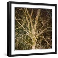 Woodland Gold I-Doug Chinnery-Framed Giclee Print