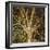 Woodland Gold I-Doug Chinnery-Framed Giclee Print