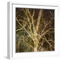 Woodland Gold I-Doug Chinnery-Framed Giclee Print