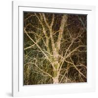 Woodland Gold I-Doug Chinnery-Framed Giclee Print