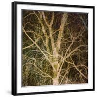 Woodland Gold I-Doug Chinnery-Framed Giclee Print