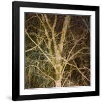 Woodland Gold I-Doug Chinnery-Framed Giclee Print