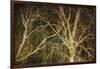 Woodland Gold II-Doug Chinnery-Framed Giclee Print