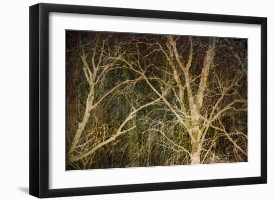 Woodland Gold II-Doug Chinnery-Framed Giclee Print