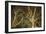 Woodland Gold II-Doug Chinnery-Framed Giclee Print