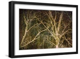 Woodland Gold II-Doug Chinnery-Framed Giclee Print