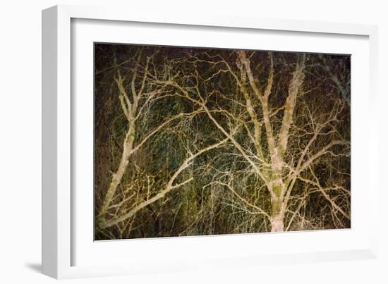 Woodland Gold II-Doug Chinnery-Framed Giclee Print