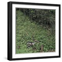 Woodland Gorge with Abandoned Old Rusty Motorbike, Yorkshire, UK-Paul Johnson-Framed Photographic Print