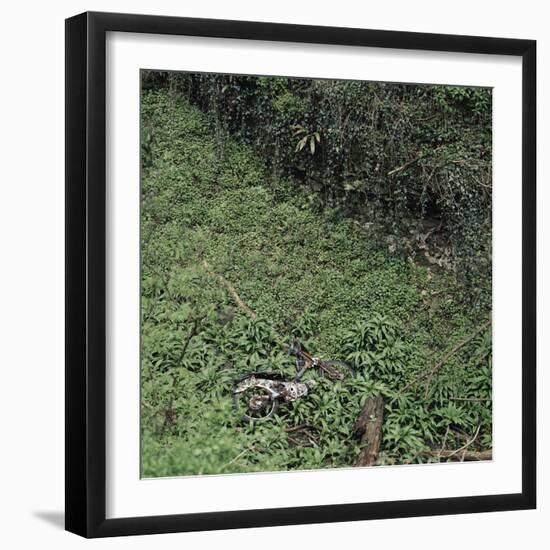 Woodland Gorge with Abandoned Old Rusty Motorbike, Yorkshire, UK-Paul Johnson-Framed Photographic Print