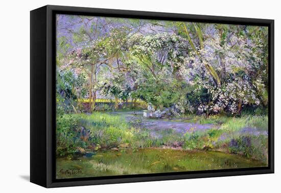 Woodland Hives-Timothy Easton-Framed Stretched Canvas
