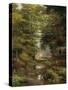 Woodland In The Fall-Bill Makinson-Stretched Canvas