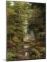 Woodland In The Fall-Bill Makinson-Mounted Giclee Print