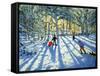 Woodland in Winter, Near Ashbourne, Derbyshire-Andrew Macara-Framed Stretched Canvas