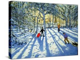 Woodland in Winter, Near Ashbourne, Derbyshire-Andrew Macara-Stretched Canvas