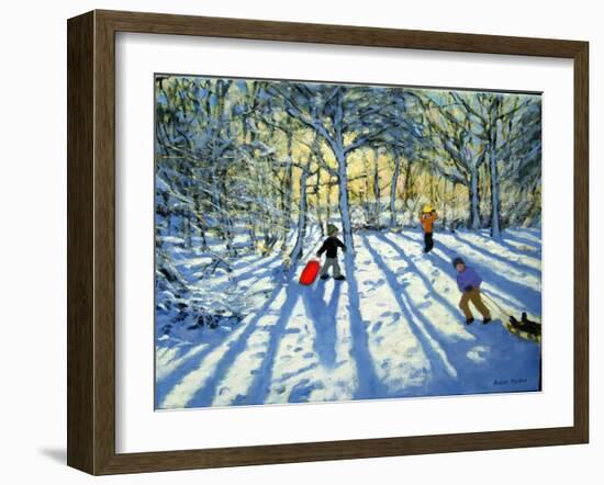 Woodland in Winter, Near Ashbourne, Derbyshire-Andrew Macara-Framed Giclee Print