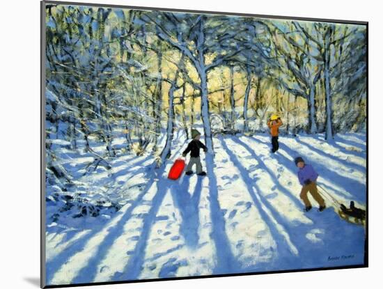 Woodland in Winter, Near Ashbourne, Derbyshire-Andrew Macara-Mounted Giclee Print