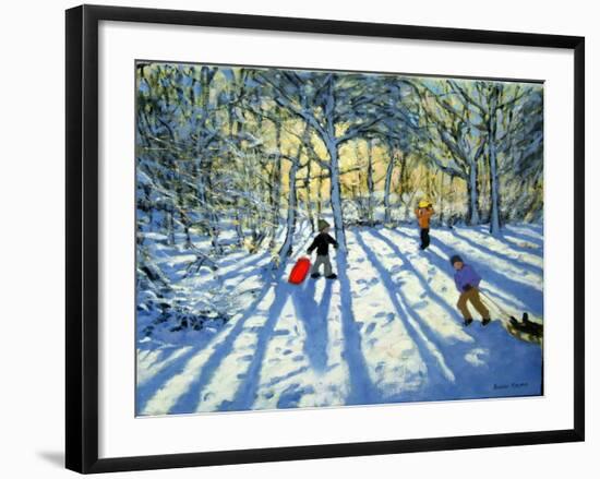 Woodland in Winter, Near Ashbourne, Derbyshire-Andrew Macara-Framed Giclee Print