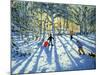Woodland in Winter, Near Ashbourne, Derbyshire-Andrew Macara-Mounted Giclee Print