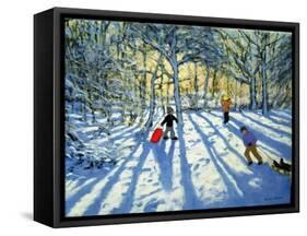 Woodland in Winter, Near Ashbourne, Derbyshire-Andrew Macara-Framed Stretched Canvas