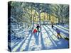 Woodland in Winter, Near Ashbourne, Derbyshire-Andrew Macara-Stretched Canvas