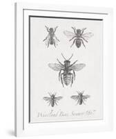 Woodland Insects I-Maria Mendez-Framed Giclee Print