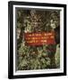 Woodland Inspiration-Andrew Geiger-Framed Giclee Print