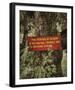 Woodland Inspiration-Andrew Geiger-Framed Giclee Print