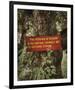 Woodland Inspiration-Andrew Geiger-Framed Giclee Print